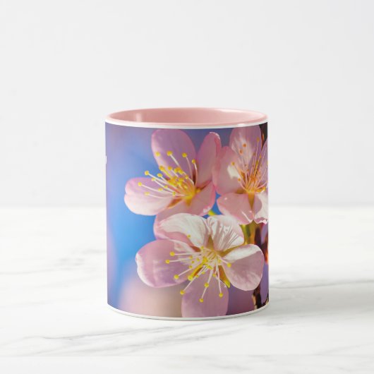 Drie roze Sakura Blossom Mok (Midden)