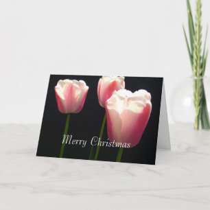Drie roze tulp bloemen. Kerstmis, feestdagen. Feestdagen Kaart