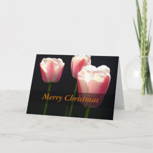 Drie roze tulp bloemen. Kerstmis, feestdagen. Feestdagen Kaart