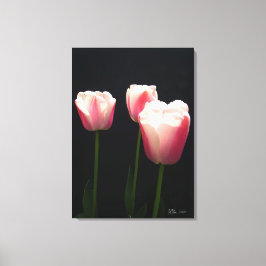 Drie roze tulpbloemen canvas afdruk