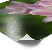 Drie roze tulpen foto afdruk (Hoek)