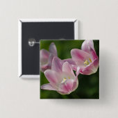 Drie roze tulpen knop vierkante button 5,1 cm (Voorkant /achterkant)