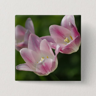Drie roze tulpen knop vierkante button 5,1 cm