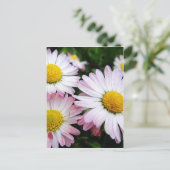 Drie roze zeeschildpadden briefkaart (Staand voorkant)