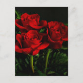 Drie Rozen Briefkaart (Voorkant)