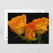 Drie Rozen Briefkaart (Voorkant / Achterkant)