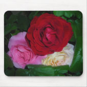 DRIE ROZEN MUISMAT (Voorkant)