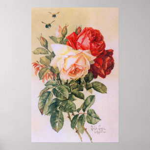 Drie Rozen Vintage Poster