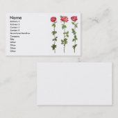 Drie Rozen Visitekaartje (Voorkant / Achterkant)