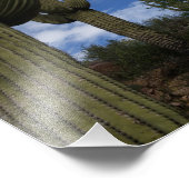 Drie Saguaro cactussen tegen blauwe lucht en wolke Foto Afdruk (Hoek)