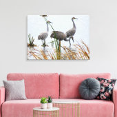 Drie Sandhill kranen Canvas Afdruk (Insitu (Woonkamer))