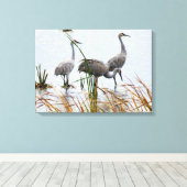 Drie Sandhill kranen Canvas Afdruk (Insitu (Houten vloer))