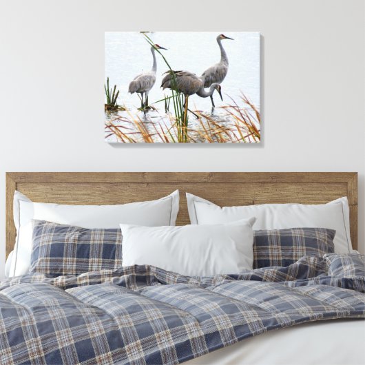 Drie Sandhill kranen Canvas Afdruk (Insitu (Slaapkamer))