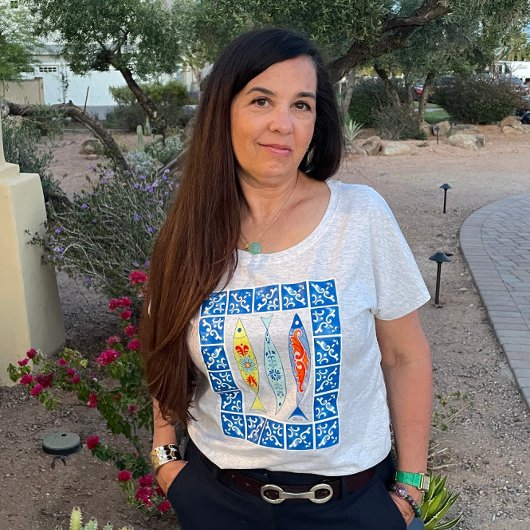 Drie Sardines + Blauwe Tegel Tri-Blend Shirt