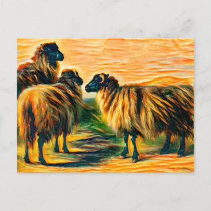 Drie schapen briefkaart