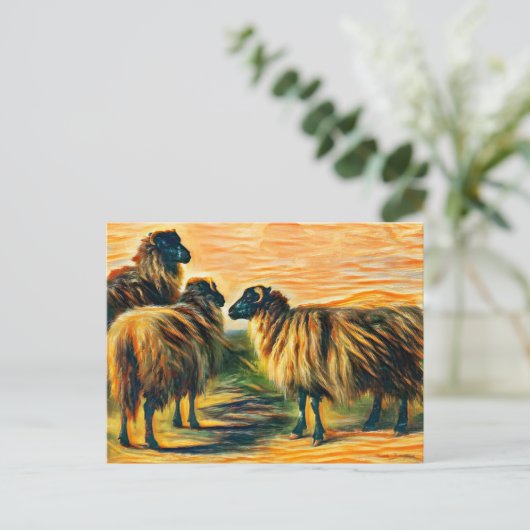 Drie schapen briefkaart (Staand voorkant)