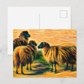 Drie schapen briefkaart (Voorkant / Achterkant)