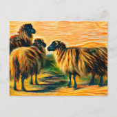 Drie schapen briefkaart (Voorkant)