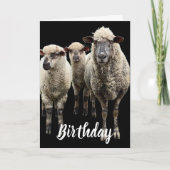 DRIE SCHAPFOTO OP ZWARTE BIRTHDAAGSE WENSKAART KAART (Voorkant)