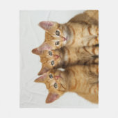 Drie schattige gember kittens naast elkaar, zacht fleece deken (Voorkant)
