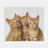 Drie schattige gember kittens naast elkaar, zacht fleece deken (Voorkant (Horizontaal))