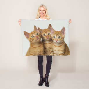 Drie schattige gemberkittens naast elkaar - fleece deken