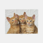 Drie schattige gemberkittens naast elkaar - fleece deken (Voorkant (Horizontaal))