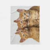 Drie schattige gemberkittens naast elkaar - fleece deken (Voorkant)