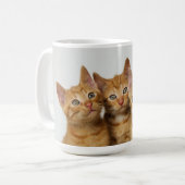 Drie schattige gemene kittens naast elkaar koffiemok (Voorkant links)