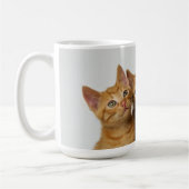 Drie schattige gemene kittens naast elkaar koffiemok (Links)