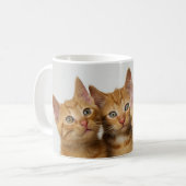 Drie schattige gemene kittens naast elkaar koffiemok (Voorkant links)