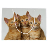 Drie schattige gemene kittens naast elkaar large cadeautasje (Achterkant)