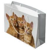 Drie schattige gemene kittens naast elkaar large cadeautasje (Achterkant Gekanteld)