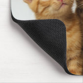 Drie schattige gemene kittens naast elkaar muismat (Hoek)