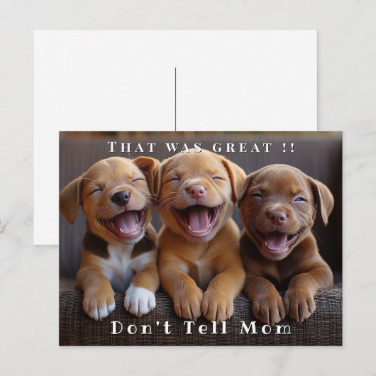 Drie Schattige grappige lachende Puppies Briefkaart (Voorkant / Achterkant)