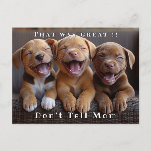 Drie schattige grappige lachende puppy's briefkaart (Voorkant)