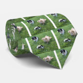 Drie schattige honden in gras stropdas (Opgerold)