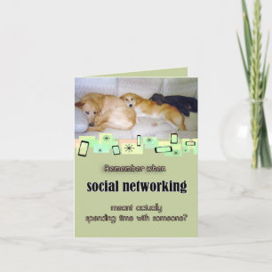 Drie Schattige Honden Verjaardag Wenskaart Kaart