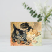 Drie schattige Kittens - Ronner Briefkaart (Staand voorkant)