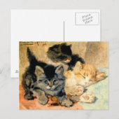 Drie schattige Kittens - Ronner Briefkaart (Voorkant / Achterkant)