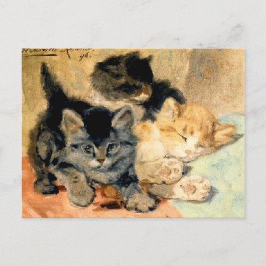 Drie schattige Kittens - Ronner Briefkaart (Voorkant)