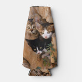 Drie schattige merkwaardige kittens flesjeskoeler (Voorkant)