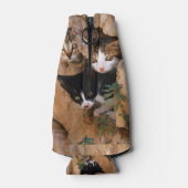 Drie schattige merkwaardige kittens flesjeskoeler (Achterkant)