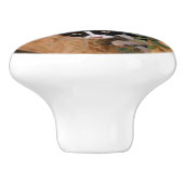 Drie schattige merkwaardige kittens keramische knop (Zijkant)