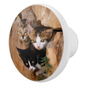 Drie schattige merkwaardige kittens keramische knop (Rechts)