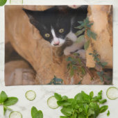 Drie schattige merkwaardige kittens theedoek (Gevouwen)
