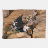 Drie schattige merkwaardige kittens theedoek (Horizontaal)