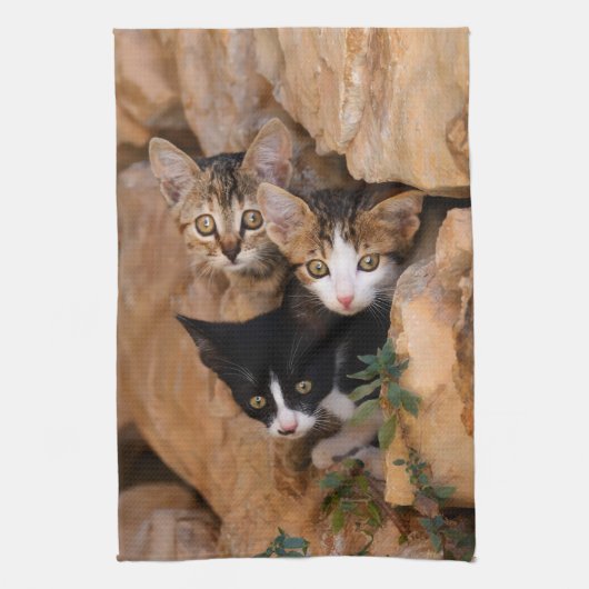 Drie schattige merkwaardige kittens theedoek (Verticaal)