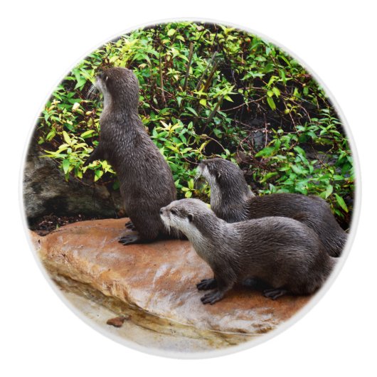 Drie Schattige otters, Keramische Knop (Voorkant)