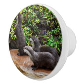 Drie Schattige otters, Keramische Knop (Rechts)